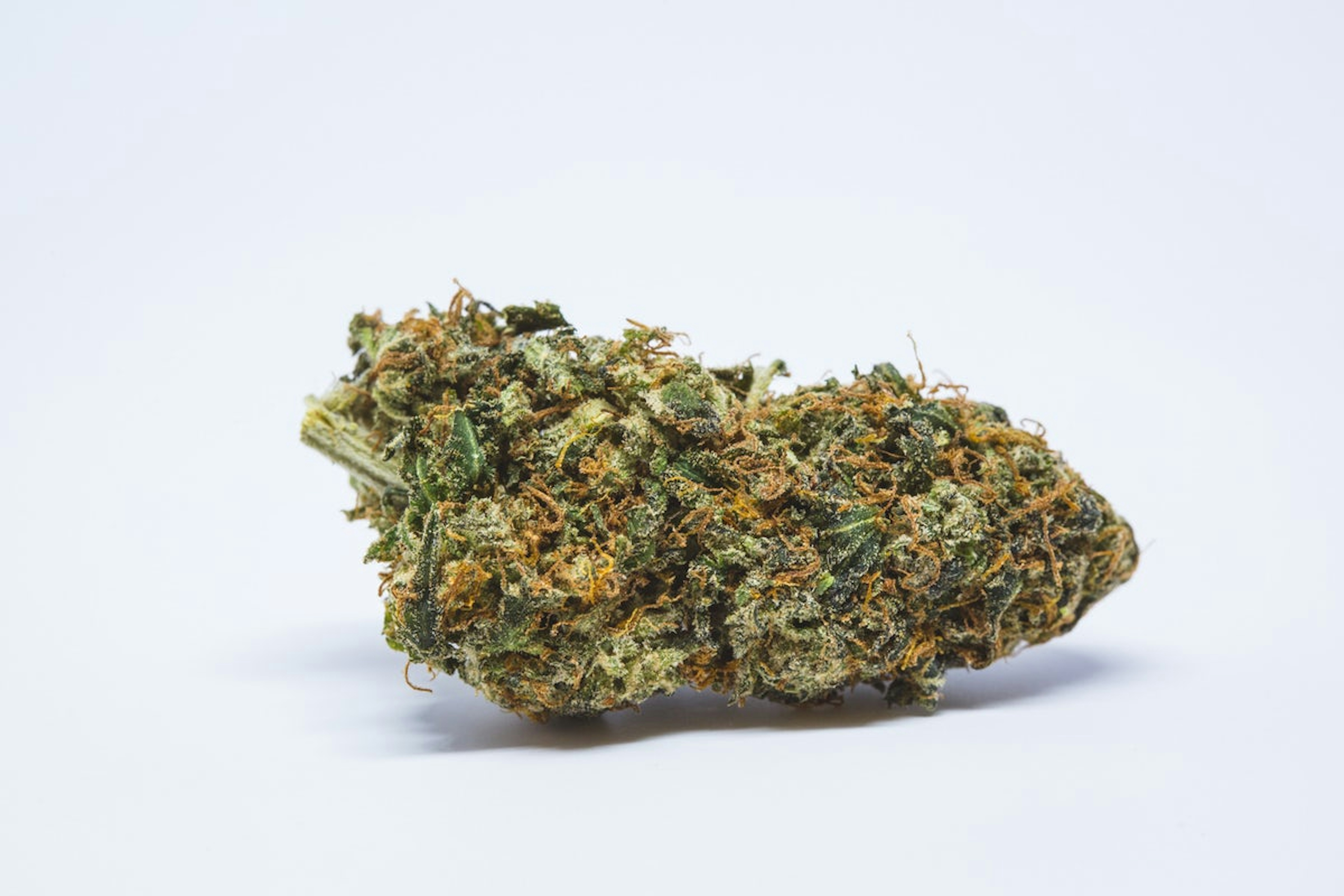 The 12 Best Haze Strains in the World | Herb