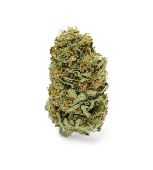 10 Best Sativa Strains 2024