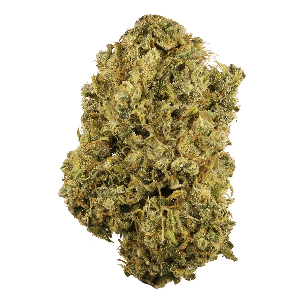 10 Best Sativa Strains 2024