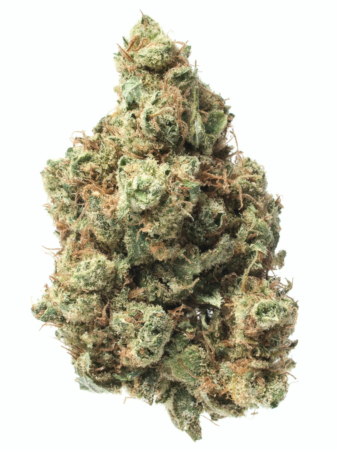 10 Best Sativa Strains 2024