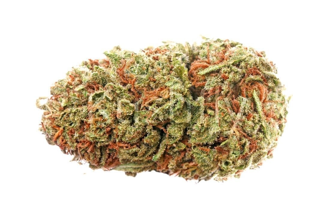 10 Best Sativa Strains 2024