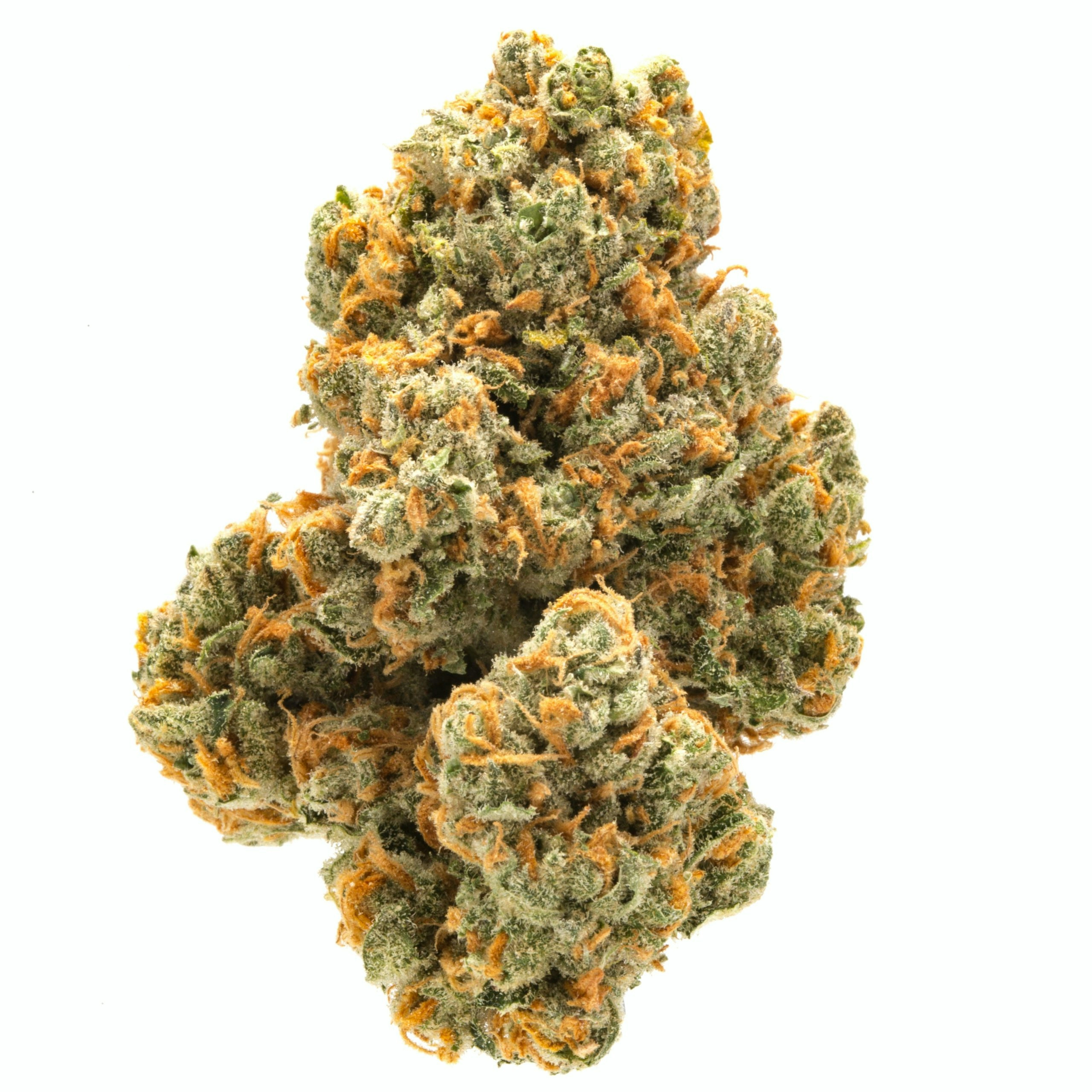 10 Best Sativa Strains 2024