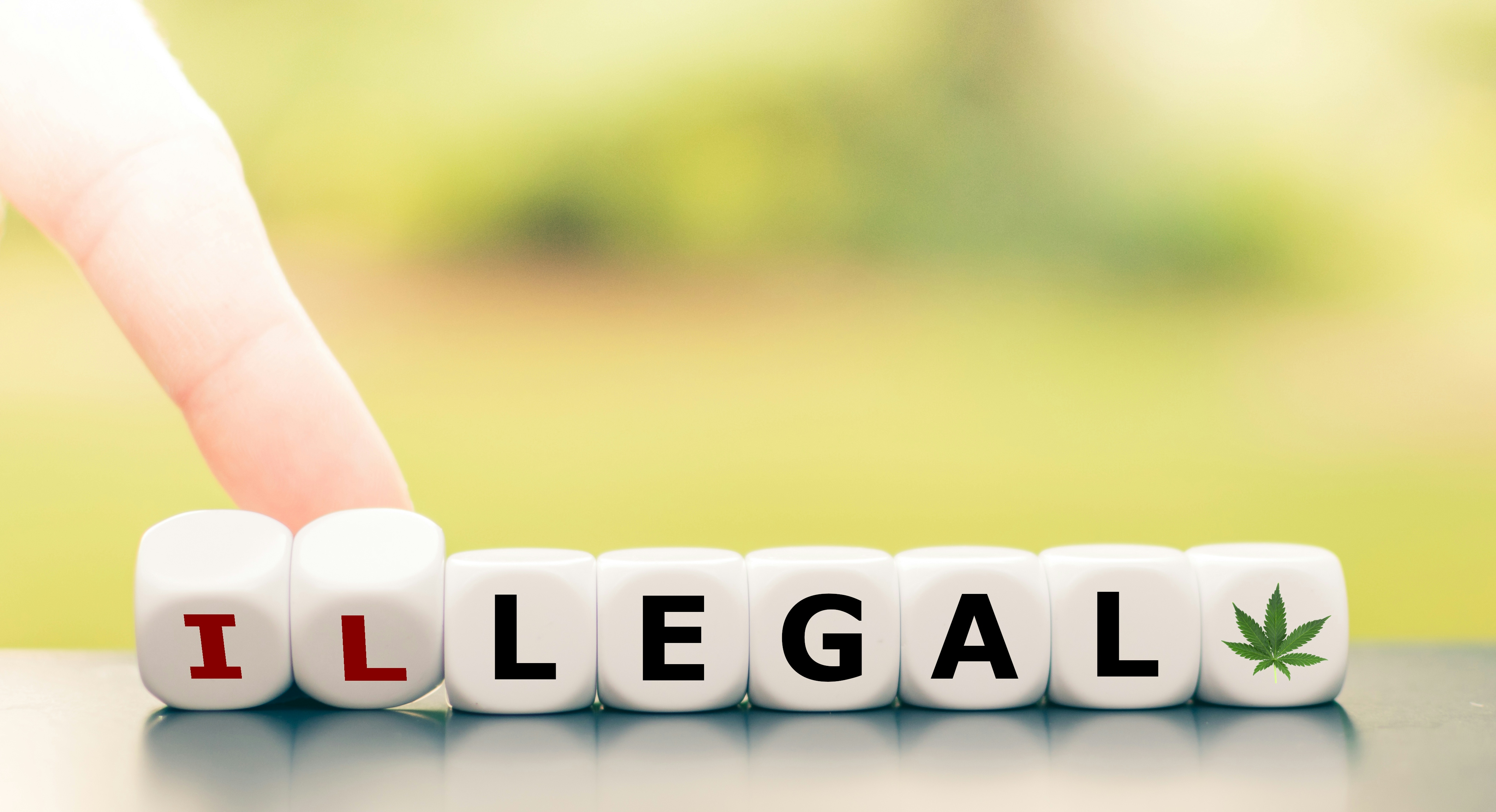 A ‘Round-Up’ of the States Up for Cannabis Legalization Votes in November 2020