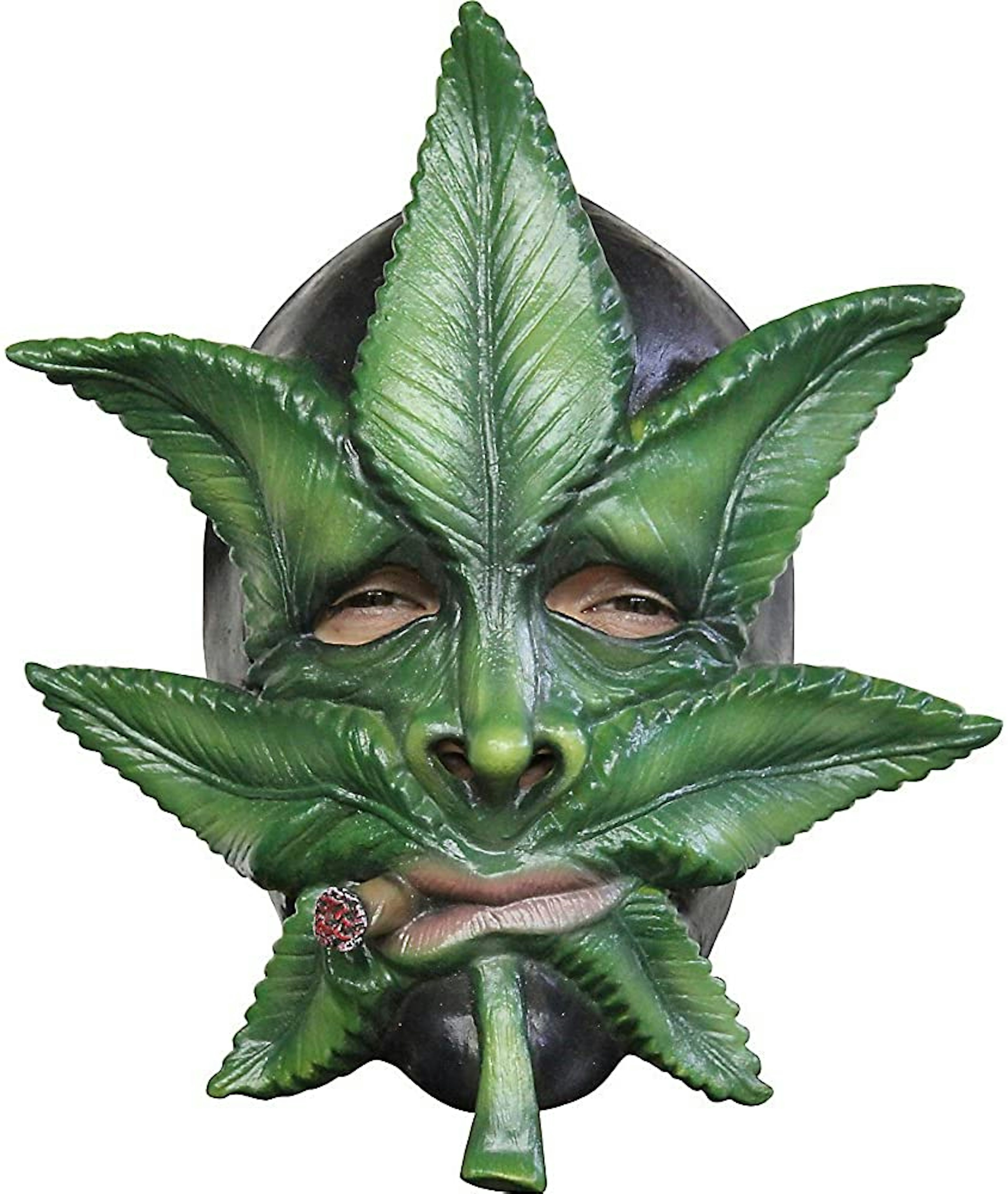 20 Easy and Hilarious Weed Halloween Costume Ideas | Herb