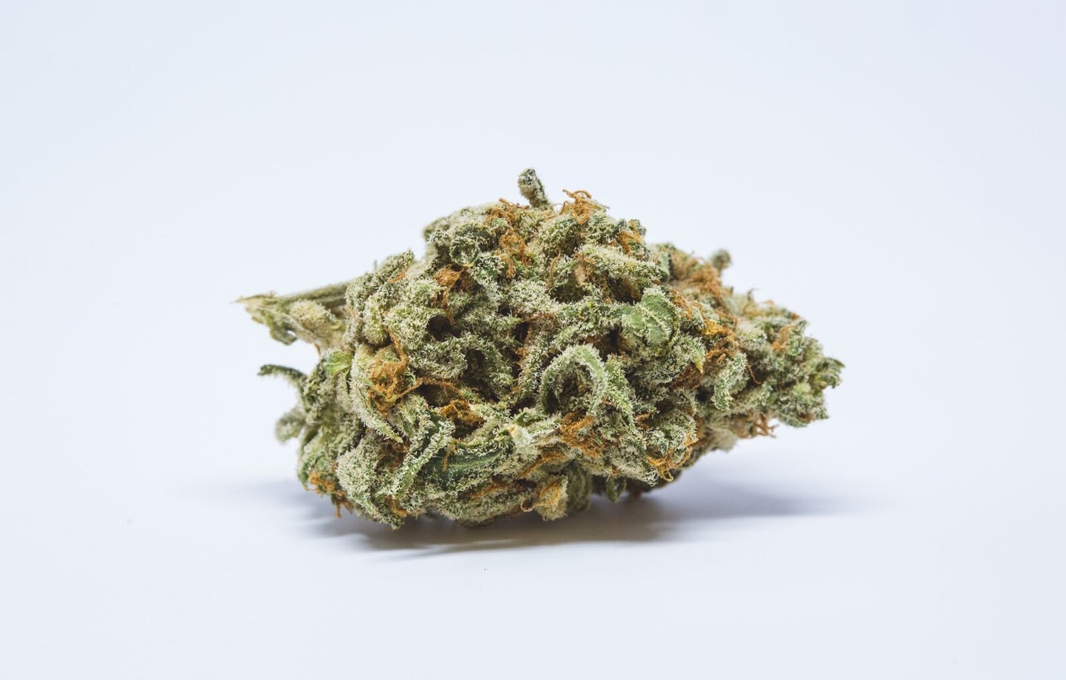 Weed And Books: 8 Best Cannabis Strains For Reading