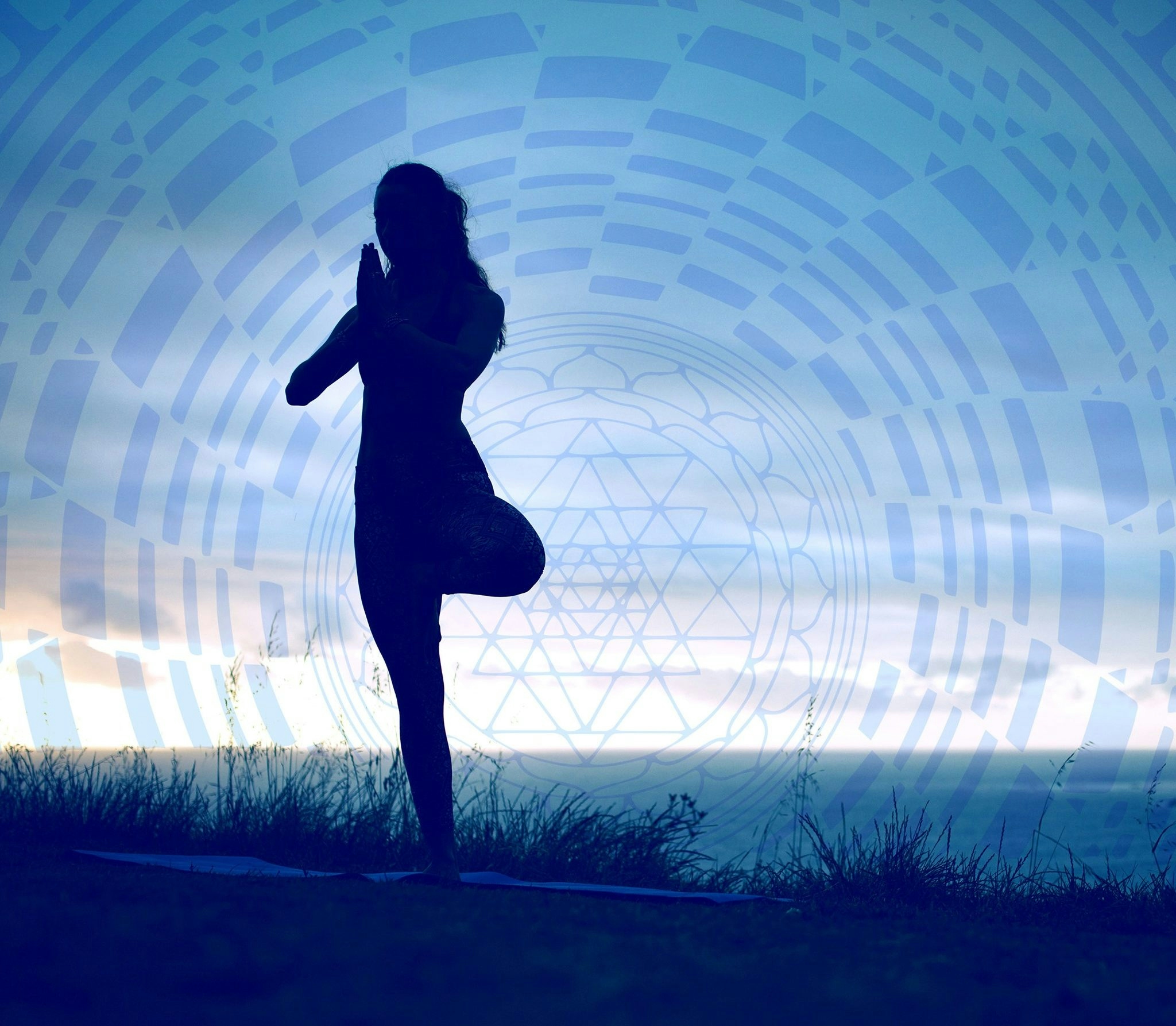 Vibrating On A Higher Frequency, Get Connected To Your Root Chakra