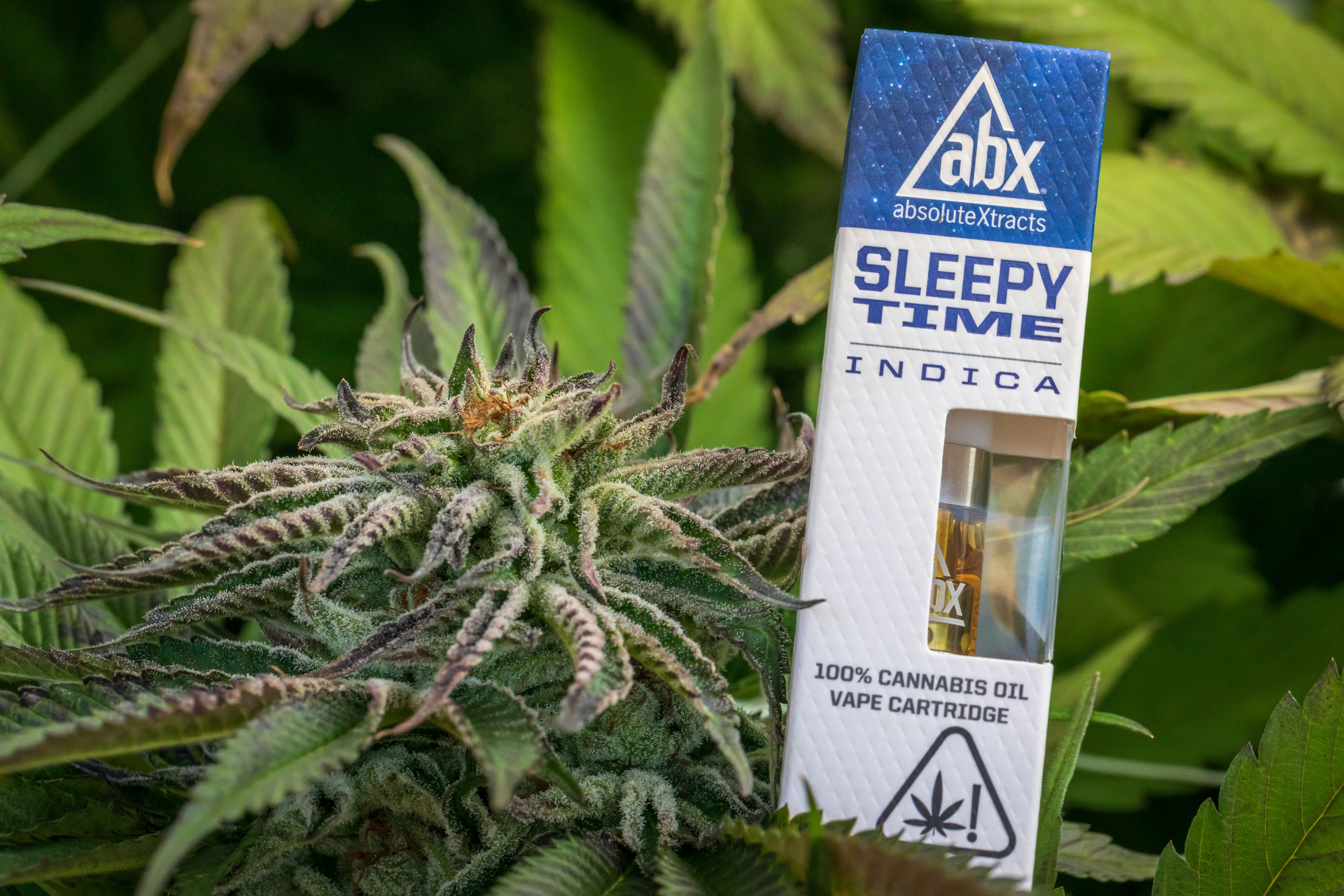 ABXs Sleepy Time: The Best Way To Get Some Rest With Cannabis