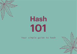 Hash 101: Everything You Need To Know