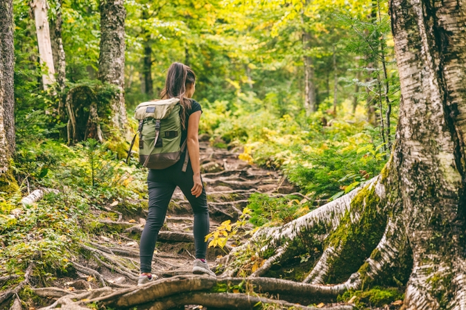 Why D8 Gummies Are The Best Companions For An Outdoor Hike