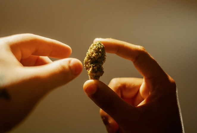 How Far Does The Smell Of Weed Travel? Indoors Vs Outdoors