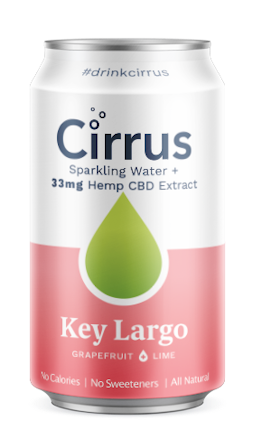 The 10 Best CBD Seltzers You Should Check Out