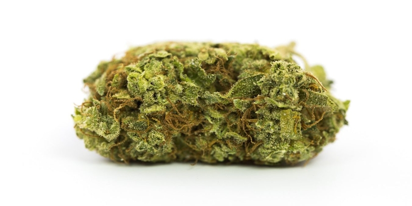 Want To Grow Weed Outside? These Are The Best Strains For Different Climates