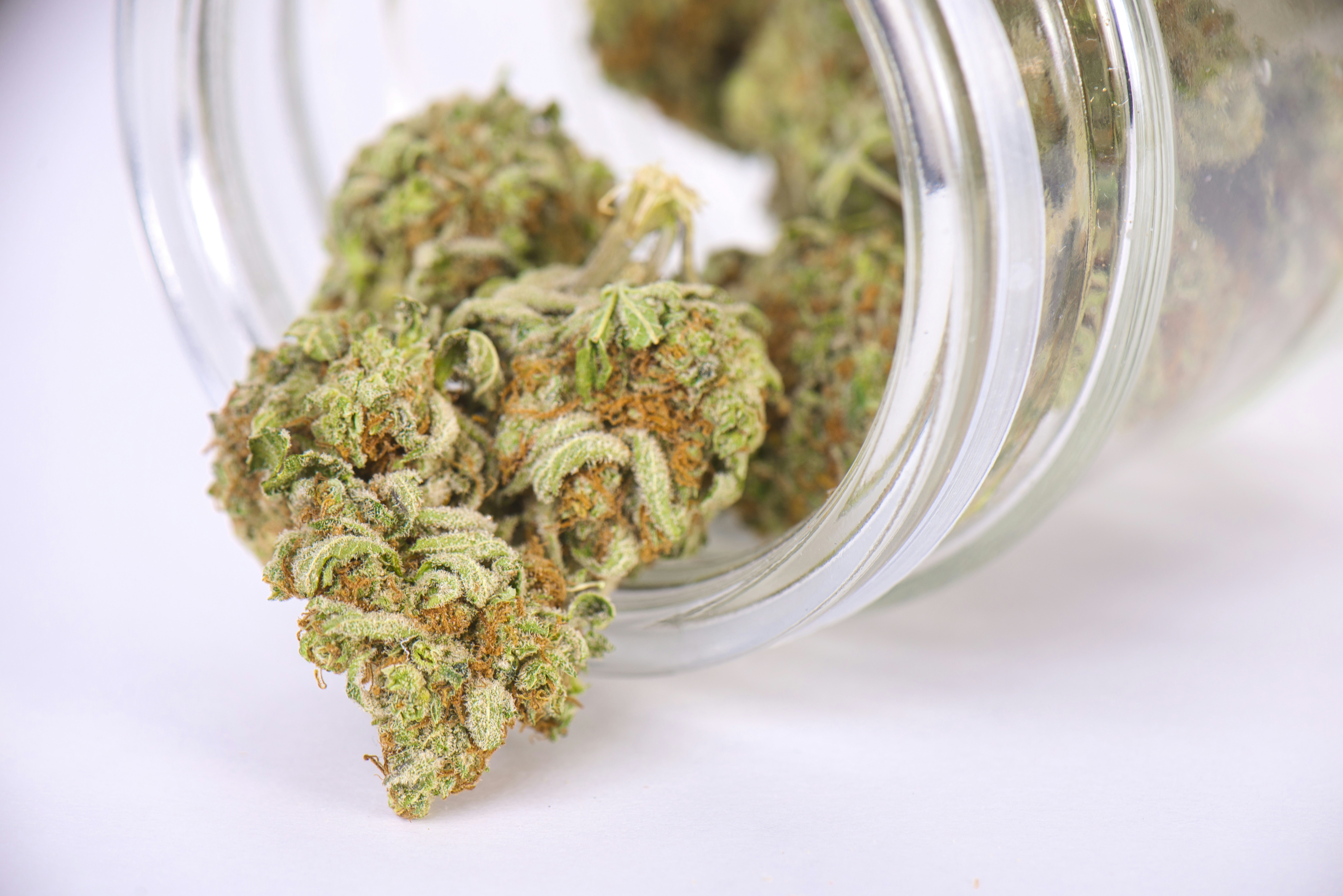 Strains With Highest THCV: 10 Strains To Check Out