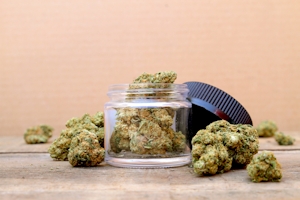 Herb’s Guide To The Strongest Flower In California