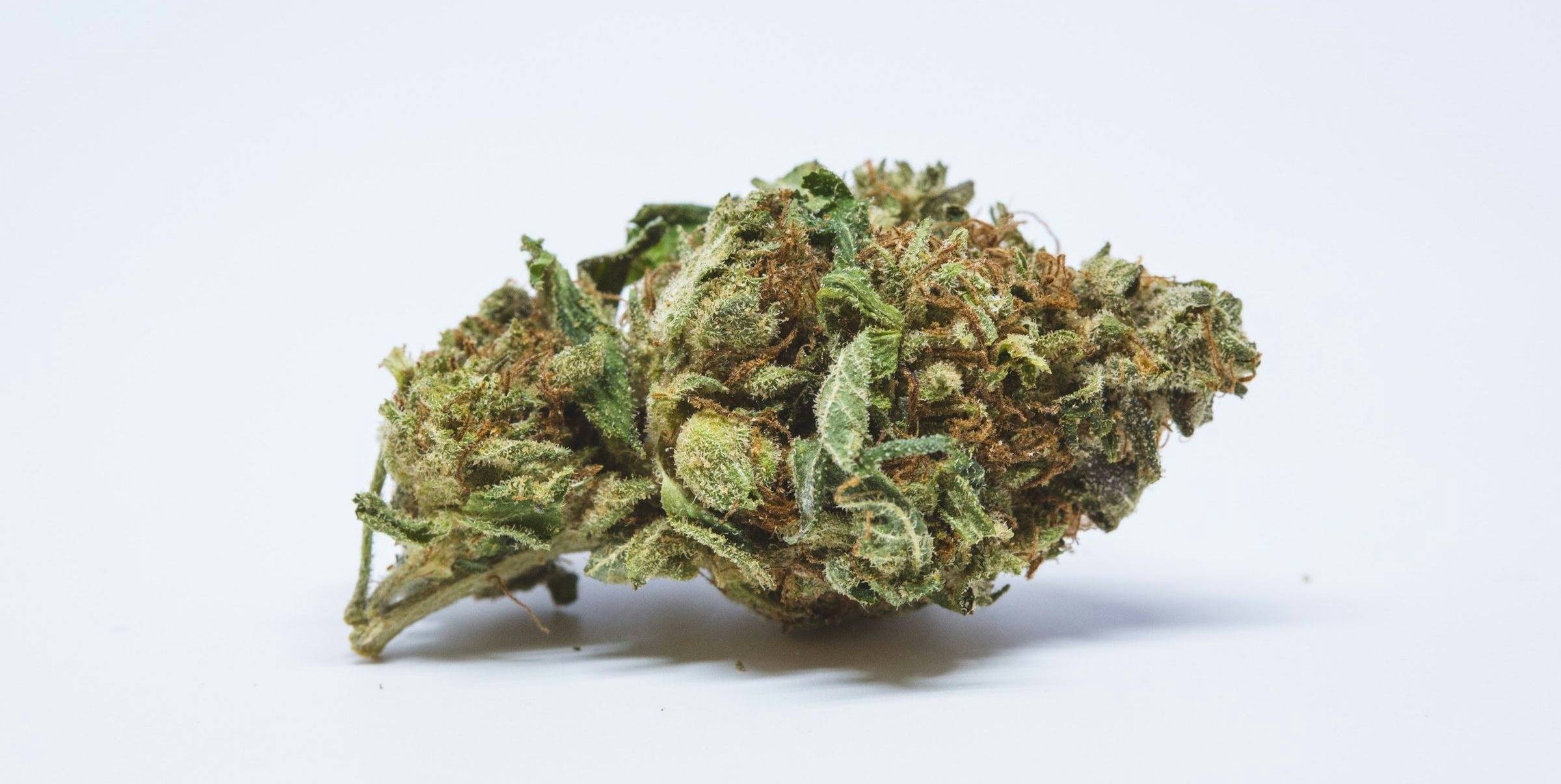 Strains Sense: 8 Sensational Strains To Try For A Chill Solo Sesh