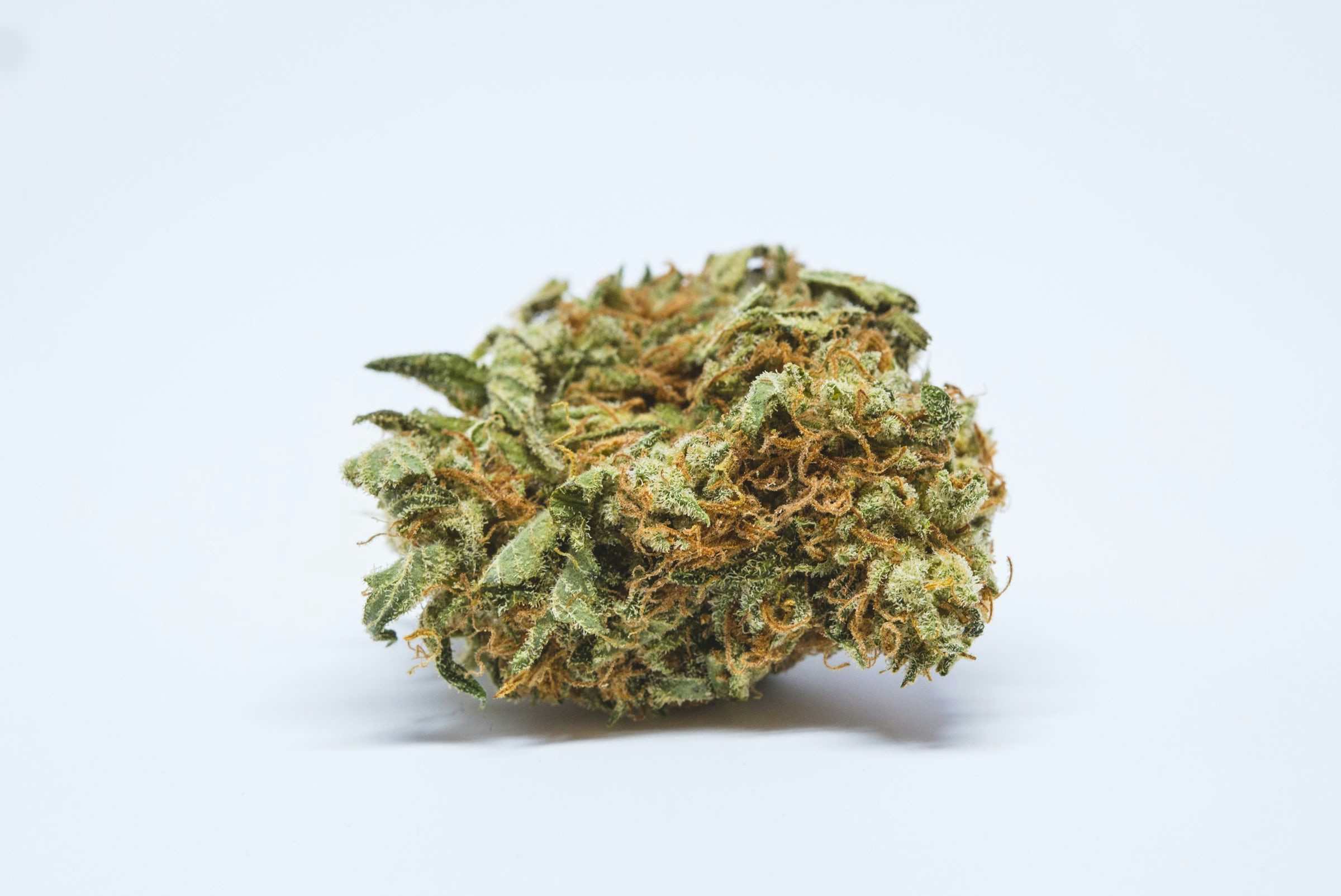 The Strongest Indica Strains On Earth Right Now, Miles Barry Marijuana Dispensary