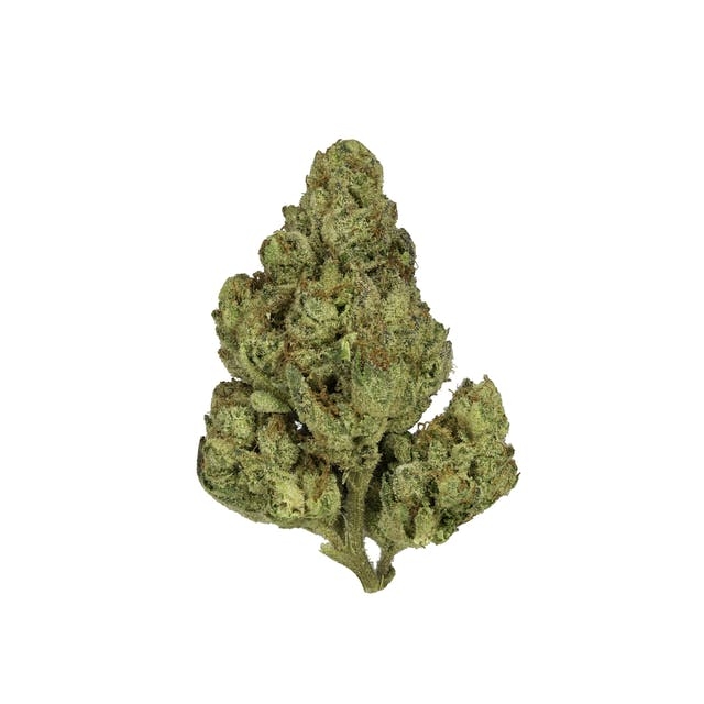 16 Most Euphoric Weed Strains That Will Elevate Your Next Sesh