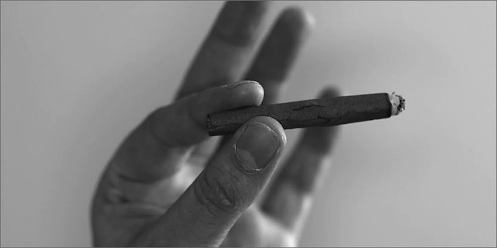 How To Roll A Black And Mild With Weed
