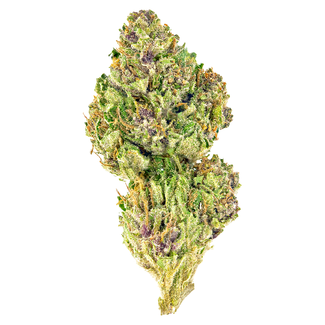 Top 10 Weed Strains For Running And Exercise