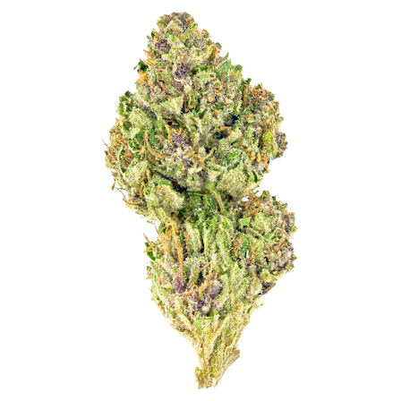 Top 10 Weed Strains For Running And Exercise