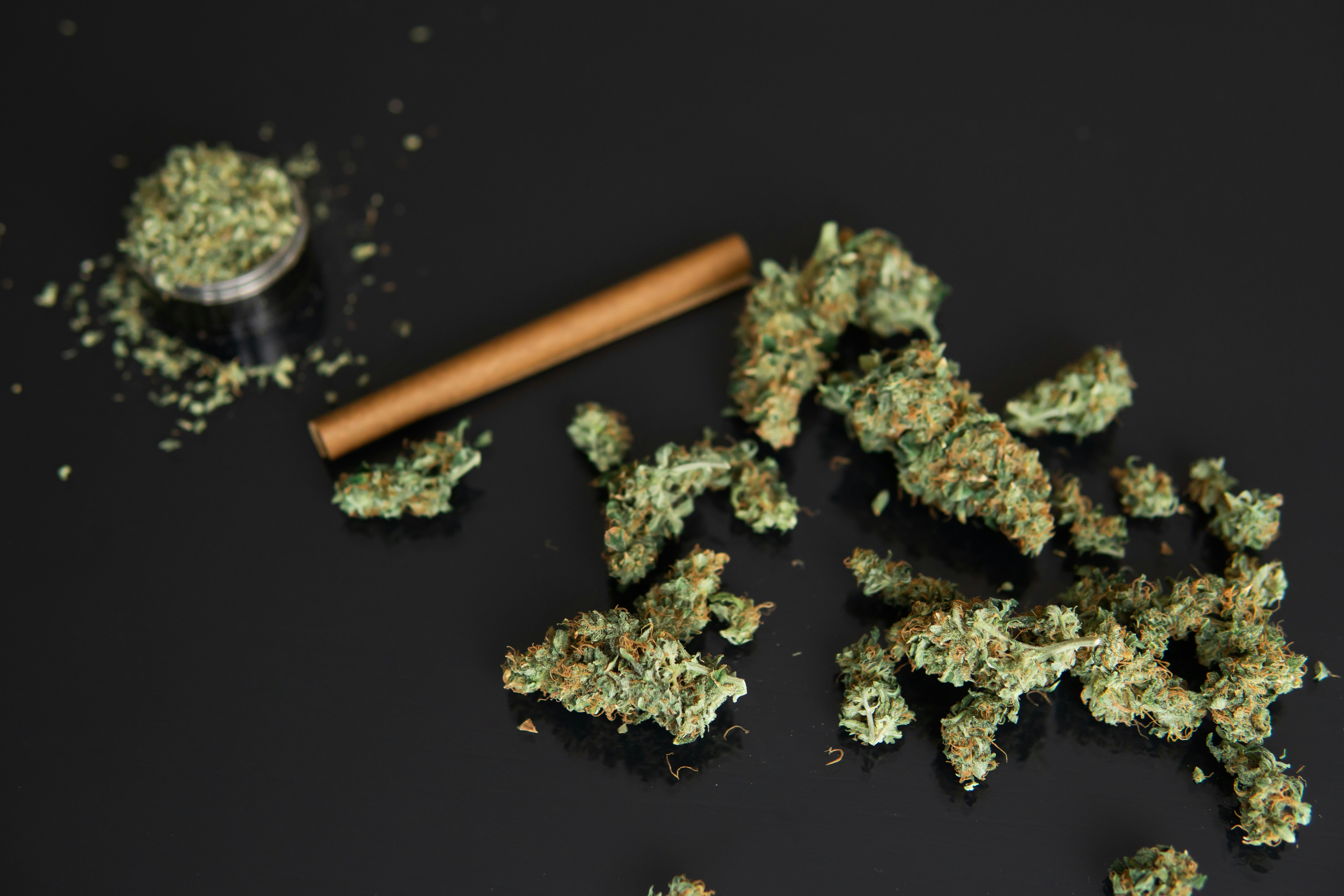 How To Roll A Black Mild With Weed Herb How To Roll A Black Mild With Weed Herb