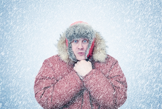 How To Grow Purple Weed