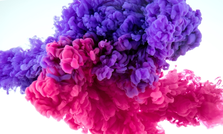 How To Grow Purple Weed