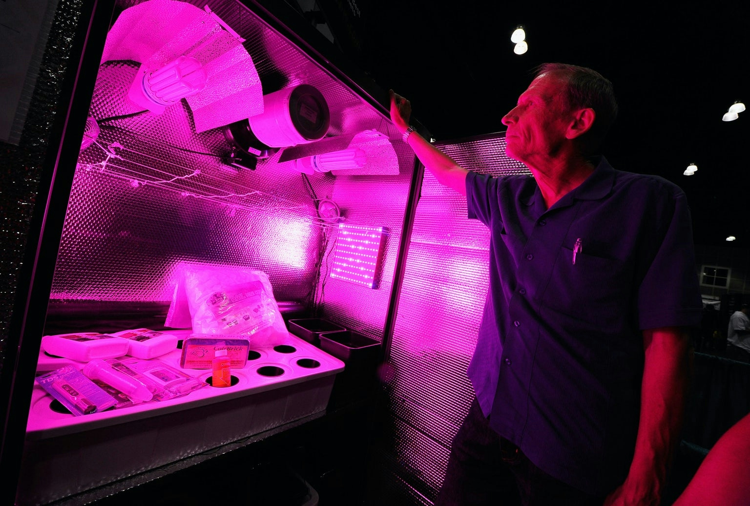 best grow box for beginners