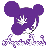Anesia Seeds Review: Uniquely Potent Genetics