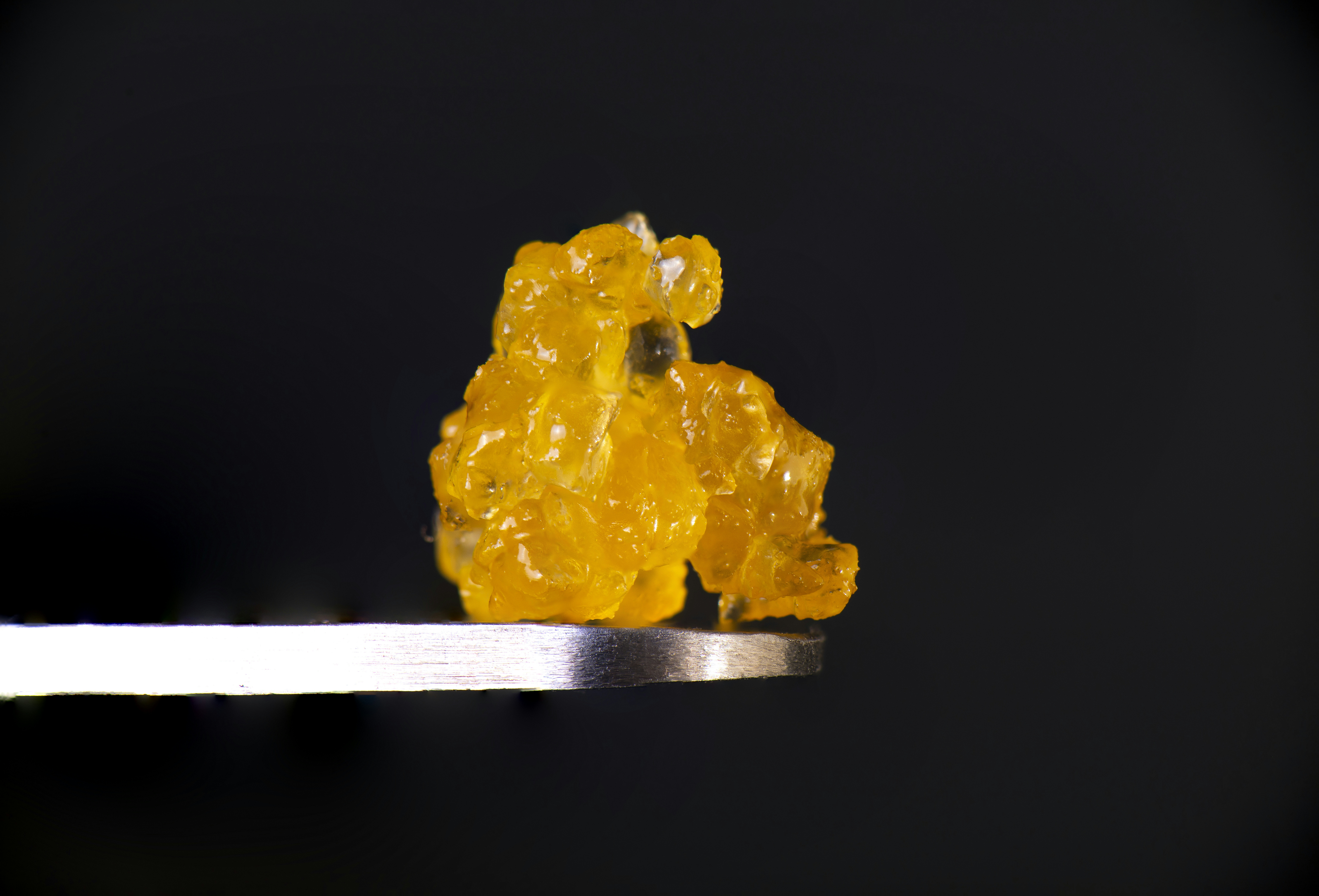 solventless vs solvent based cannabis concentrates