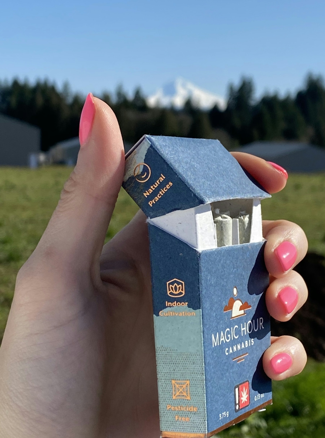 Trail Blazers: Interview With Adriana Ruiz Carlile