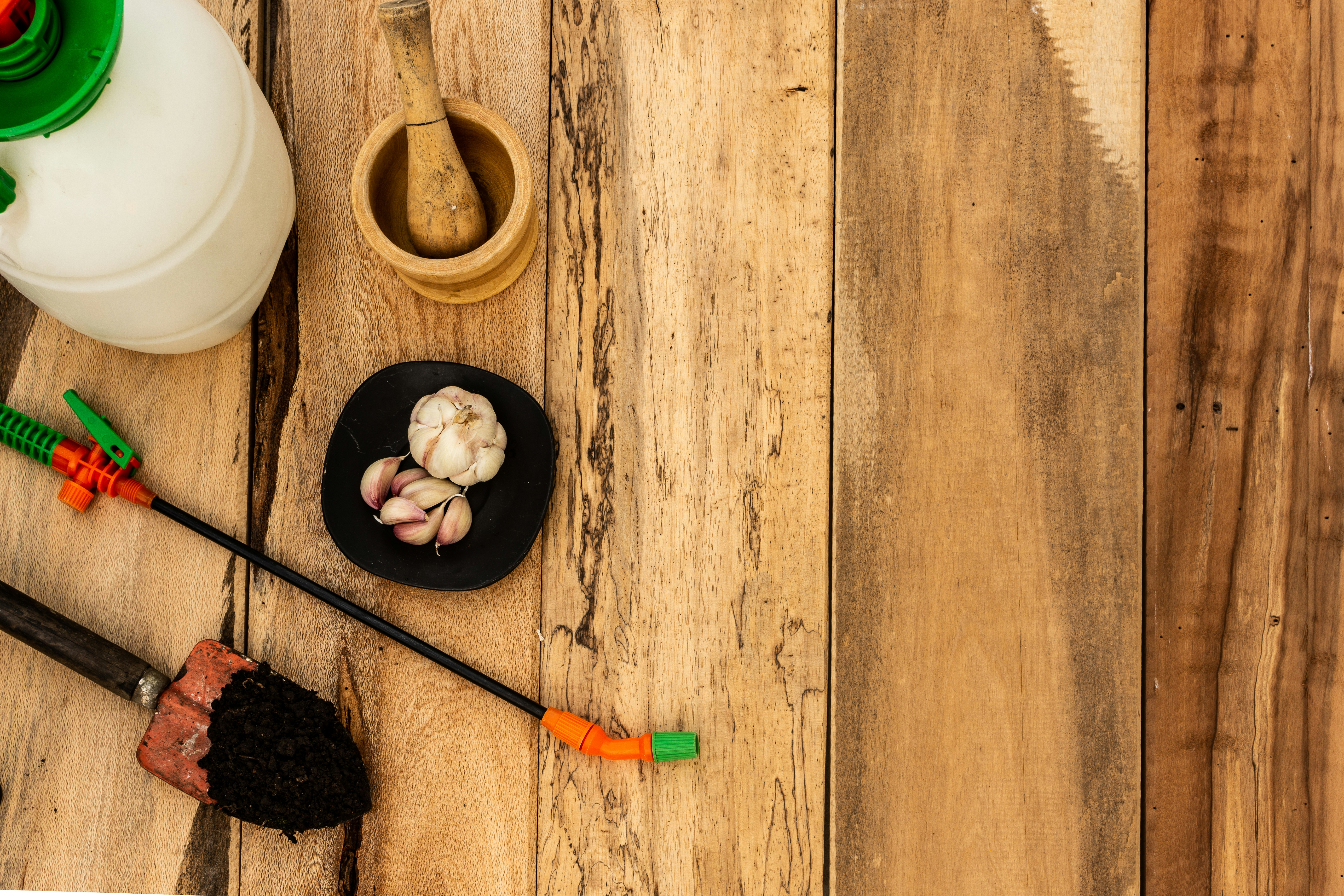 Here’s How To Get Rid Of Spider Mites