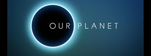 The 15 Best Films & Shows to Watch While High [A 420 Film Buff’s Guide]