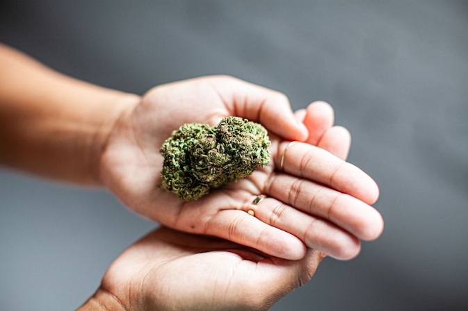 Everything You Need To Know About Botany Farms’ Super Sour Space Candy Strain