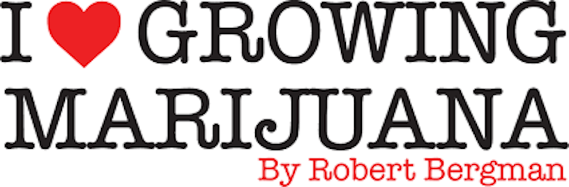 Herb’s Guide To The Best Online Cannabis Seed Banks Of 2025