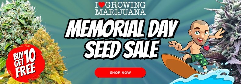 The Best Memorial Day Weed Deals Of 2022