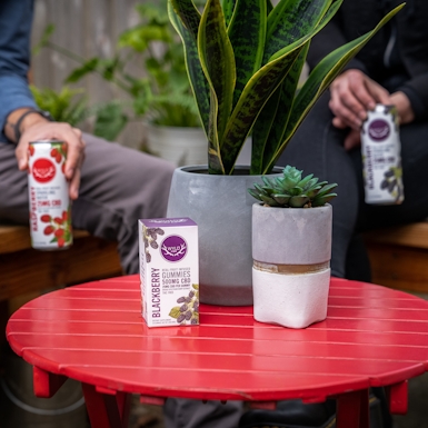 wyld cbd sparkling water review