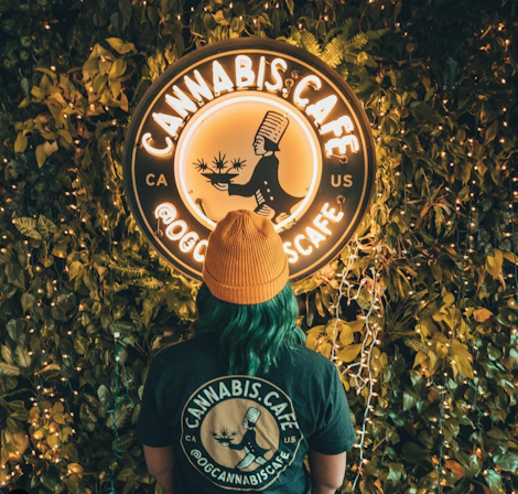 The 10 Best Smoke Spots In Los Angeles, CA