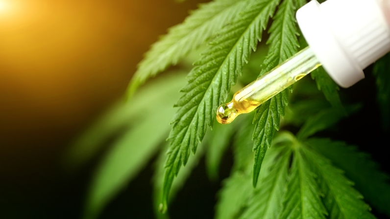 The 10 Best CBD Oils For Crohn’s Disease