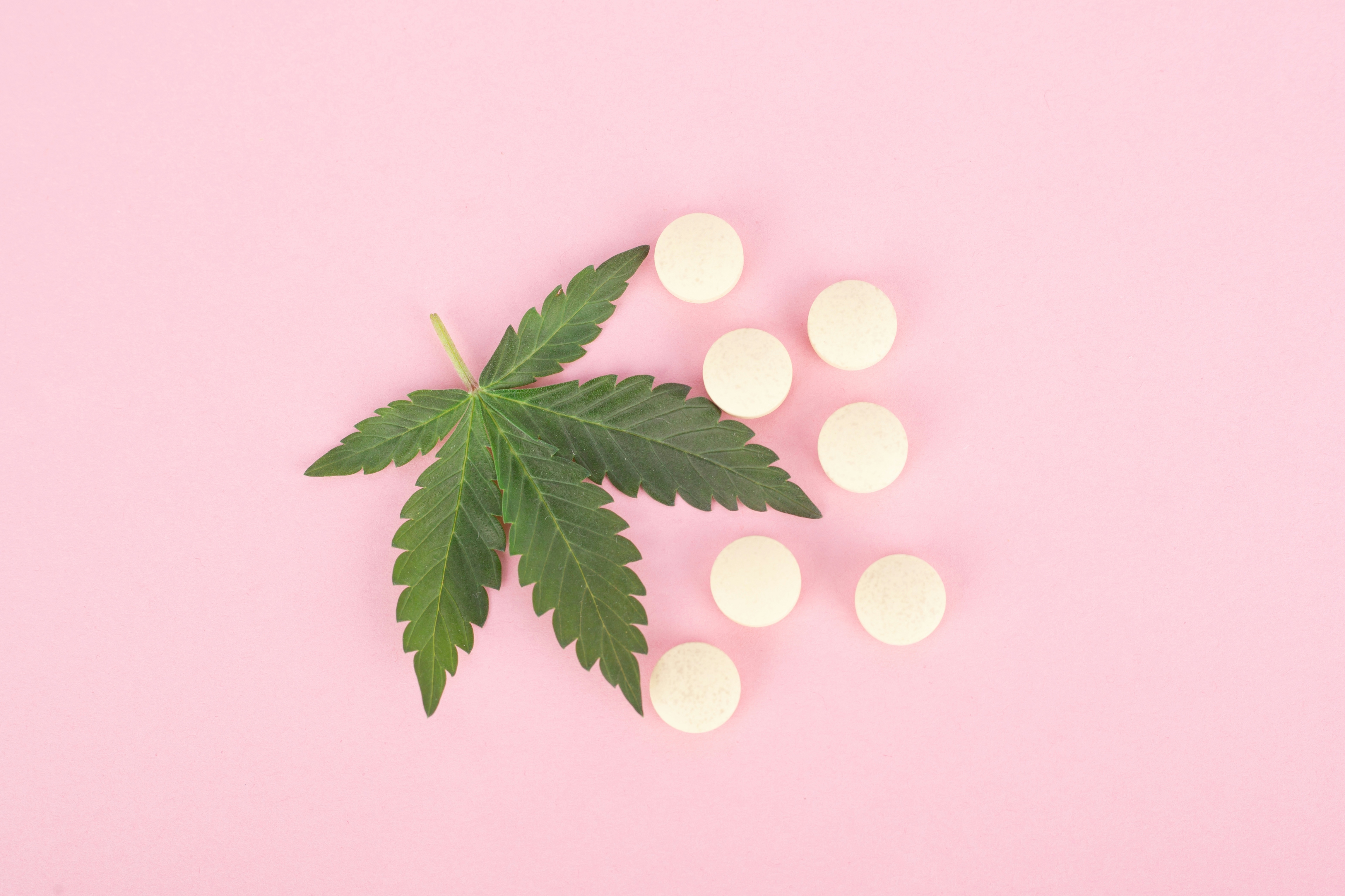Herb’s Guide To Sublingual Cannabis: Everything You Need To Know