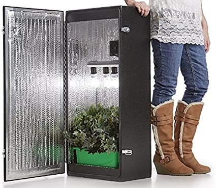 Dealzer Cash Crop 6.0 Grow Box Review: Should You Buy It?