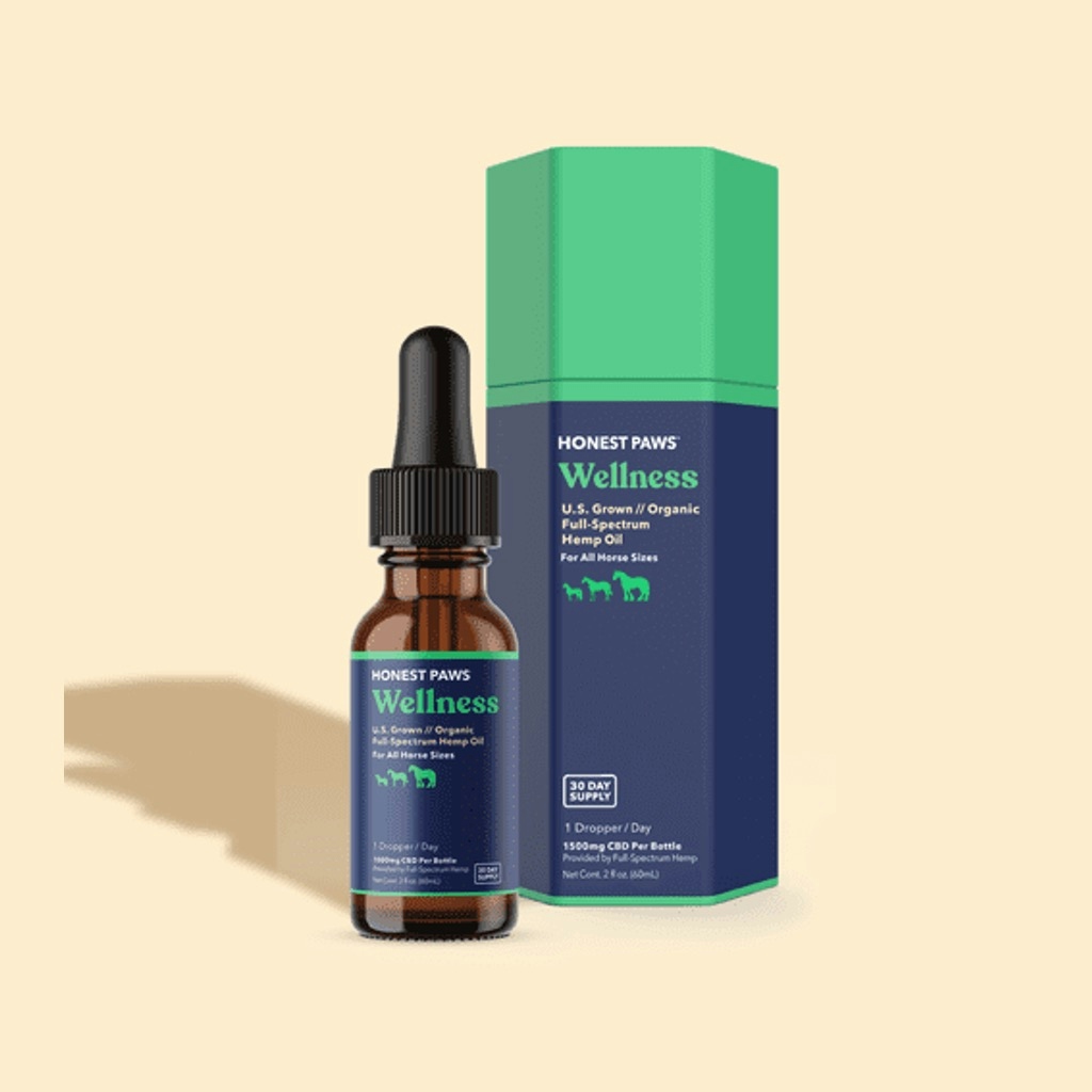 CBD Oil For Horses