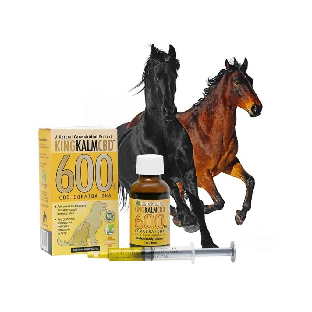 King Kalm CBD Copaiba Oil