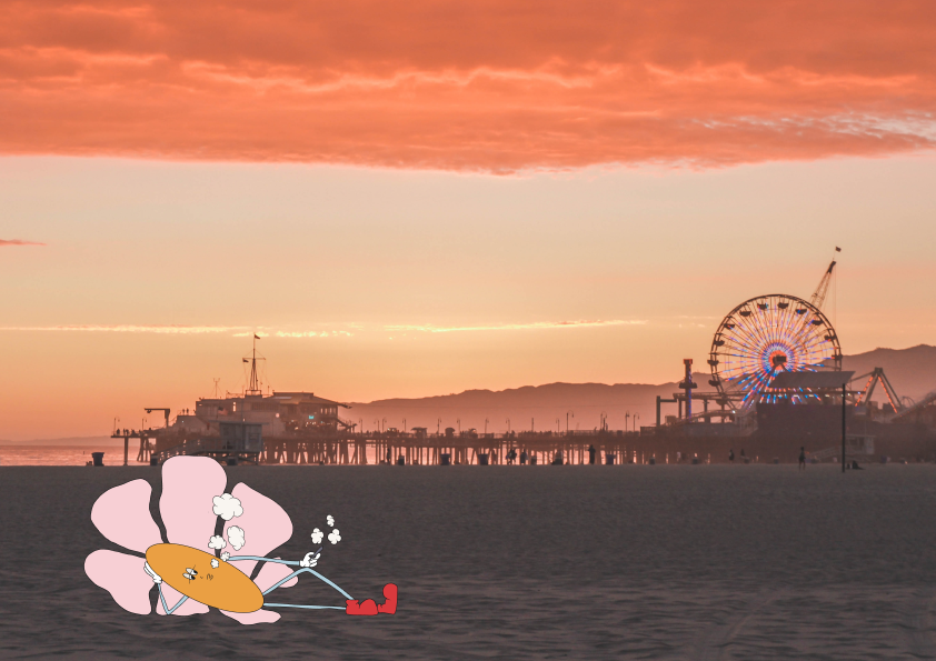 The Best Weed Friendly Beaches In California