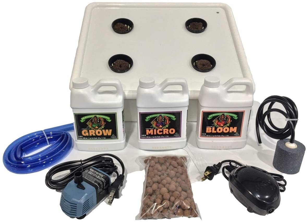 Dealzer Cash Crop 6.0 Grow Box Review: Should You Buy It?