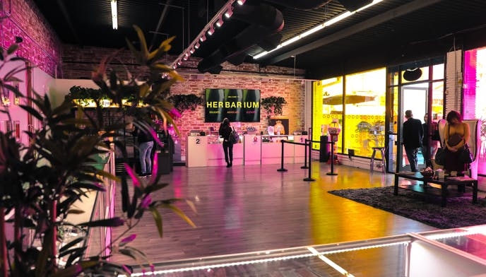 The 25 Best Weed Delivery Services LA