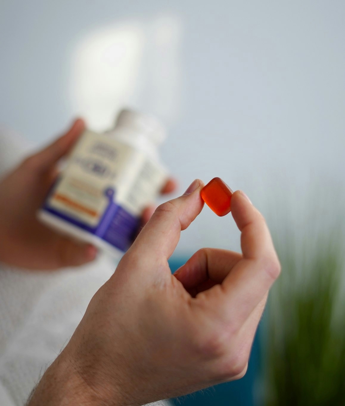 Medterra CBD Gummmies Review: Pros, Cons & Best Options