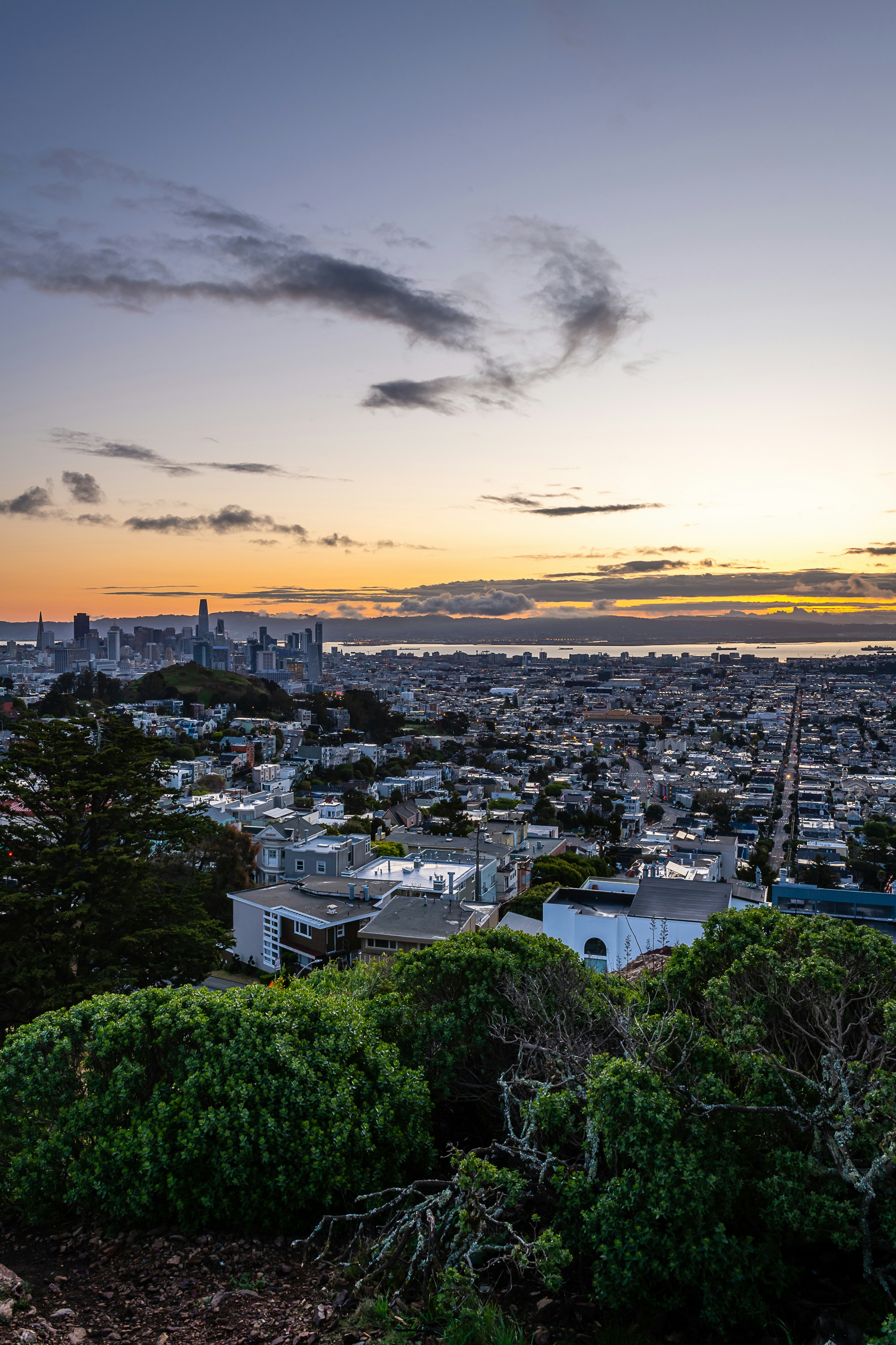 Herb’s Guide To The Best San Francisco Smoke Spots