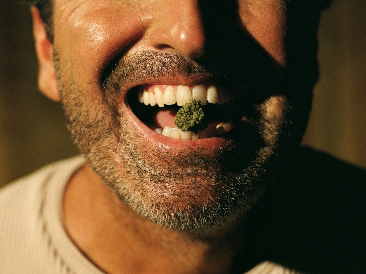 A Guide To THC Potencies: Which One Is The Strongest?