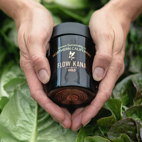 Flow Kana Gold Review: Premium Sun-Grown Cannabis For True Connoiseurs